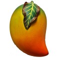 Wand decoratie Mango